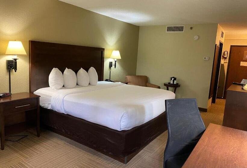 身障者適用キングサイズベッドルーム, The Atrium Hotel On Third