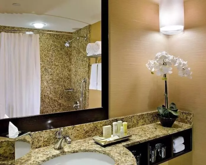 スタンダードルーム, Crowne Plaza Hotel Glen Ellyn/lombard, An Ihg