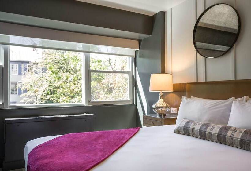 Büyük Çift Kişilik Yataklı Standart Oda, Arc Hotel Washington Dc, Georgetown
