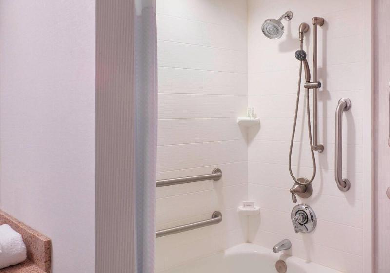 غرفة قياسية سرير كينج, Courtyard Atlanta Decatur Downtown/emory