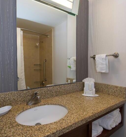 身障者適用キングサイズベッドルーム, Courtyard Columbia Downtown At Usc