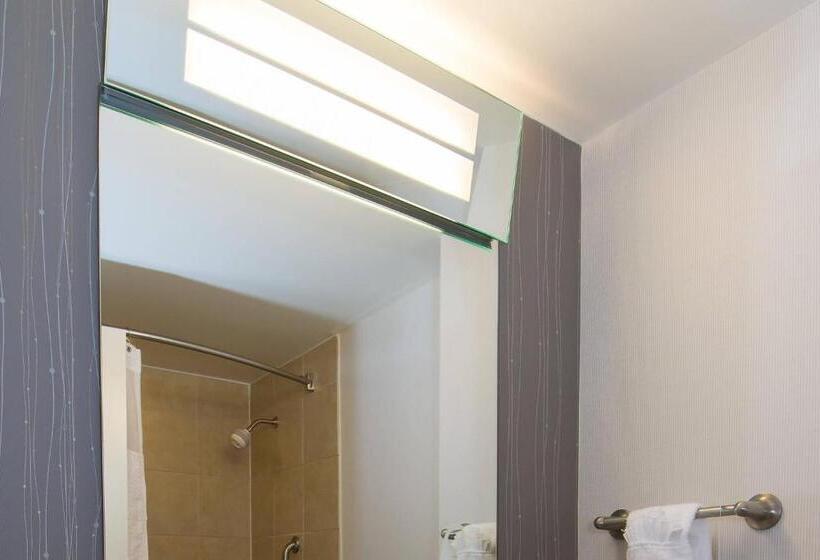 身障者適用キングサイズベッドルーム, Courtyard Columbia Downtown At Usc