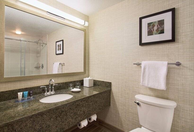 Номер Стандарт 2 Двуспальные Кровати, AC Hotel by Marriott Portland Lake Oswego