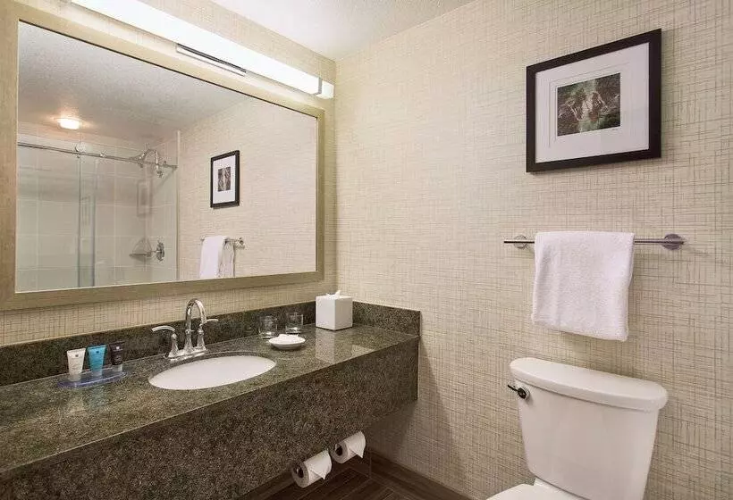 スイート, AC Hotel by Marriott Portland Lake Oswego