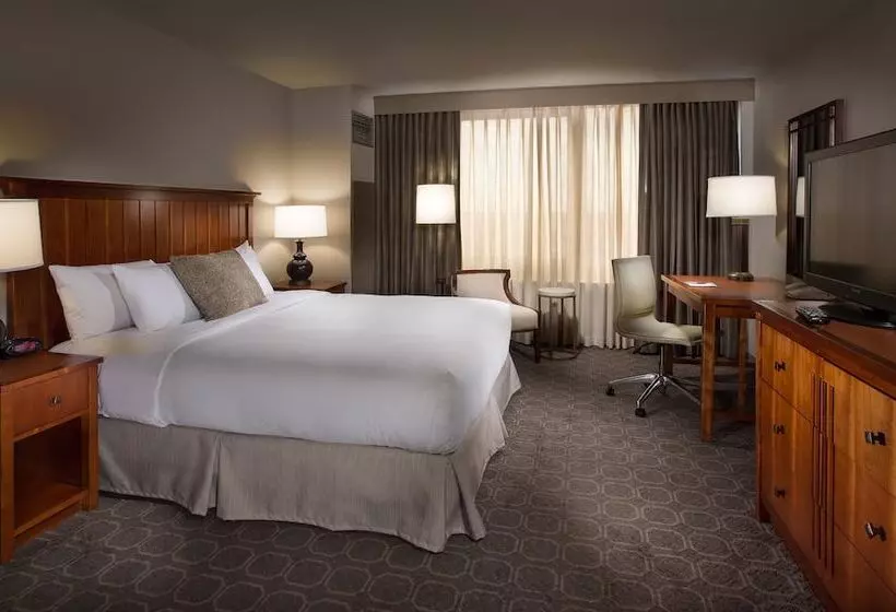 スタンダードルーム, Doubletree By Hilton  Chicago  Oak Brook