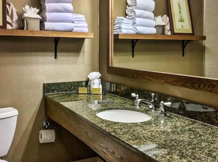 Номер Стандарт 2 Двуспальные Кровати, Doubletree By Hilton  Libertyville  Mundelein