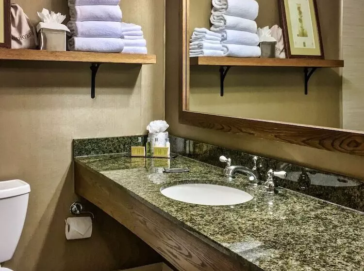 ２ダブルベッドのスタンダードルーム, Doubletree By Hilton  Libertyville  Mundelein