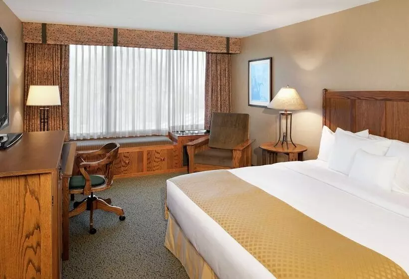 デラックスルーム, Doubletree By Hilton  Libertyville  Mundelein