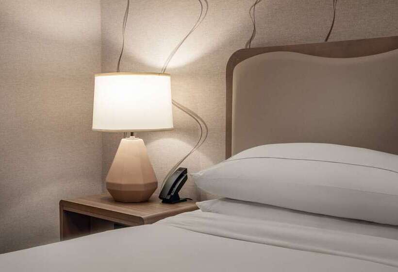스탠다드 룸 킹사이즈 침대, Doubletree By Hilton Washington Dc Silver Spring