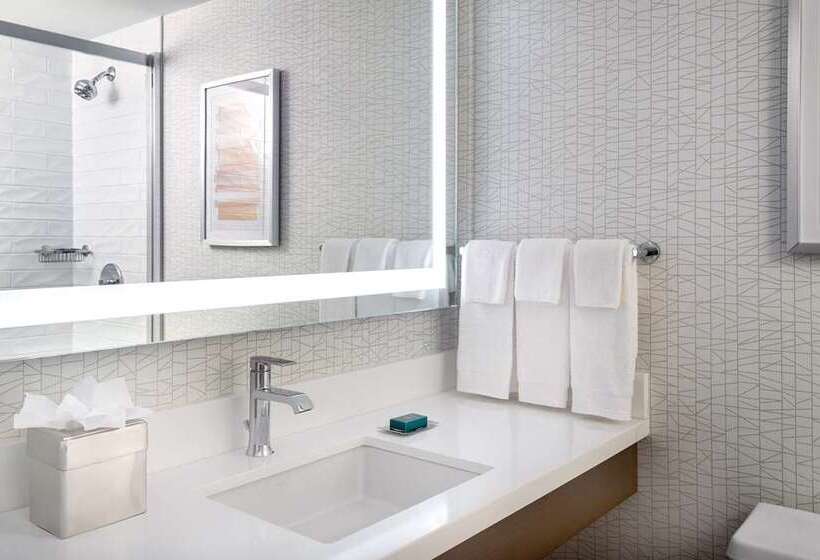 스탠다드 룸 킹사이즈 침대, Doubletree By Hilton Washington Dc Silver Spring