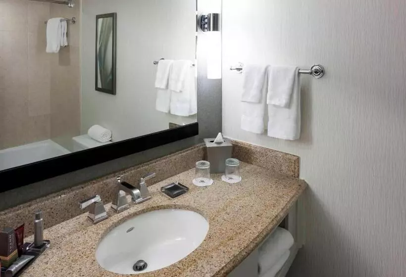 ダブルベッドスタンダードルーム, Fairfax Marriott At Fair Oaks