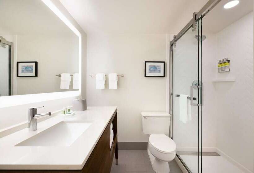 带2个双人床的标准工作室, Doubletree By Hilton Fort Worth South