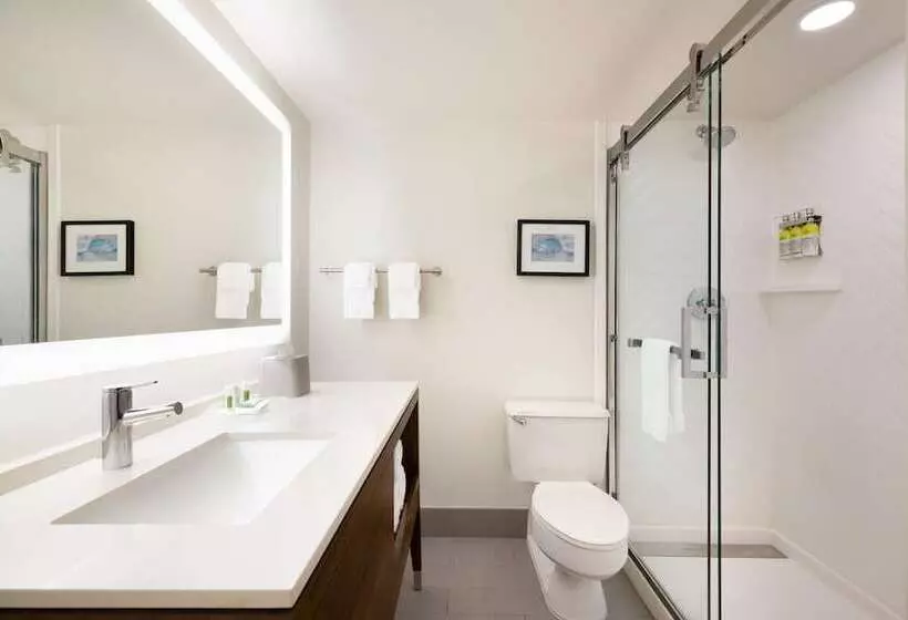 ２ダブルベッドのスタンダードルーム, Doubletree By Hilton Fort Worth South