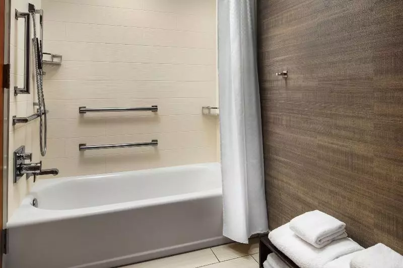 キングサイズベッドのスイートルーム, Doubletree By Hilton Fort Worth South