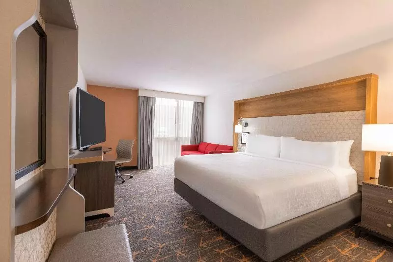 身障者適用キングサイズベッドルーム, Doubletree By Hilton Fort Worth South