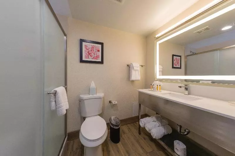 スタンダードルーム, Doubletree By Hilton Fort Worth South