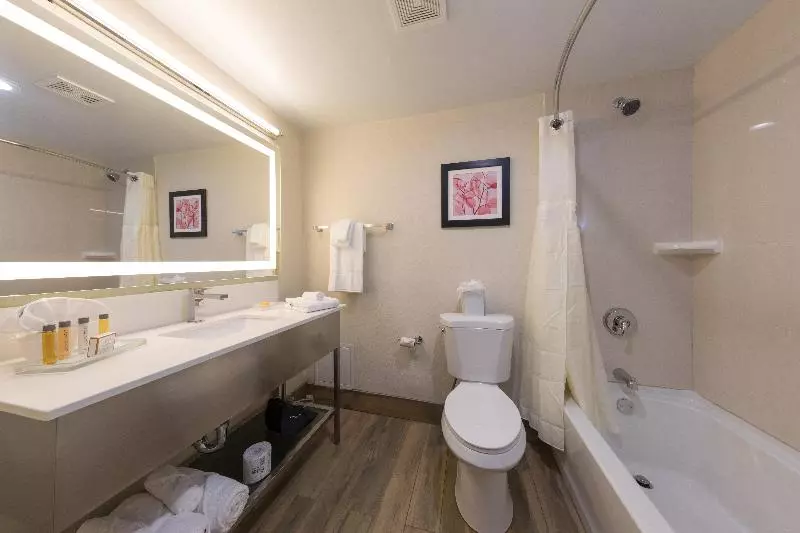 スタンダードルーム, Doubletree By Hilton Fort Worth South
