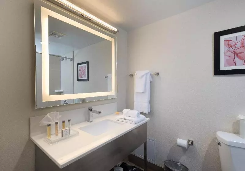 スタンダードルーム, Doubletree By Hilton Fort Worth South