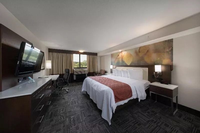 スタンダードルーム, Doubletree By Hilton Fort Worth South