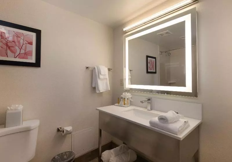 スタンダードルーム, Doubletree By Hilton Fort Worth South