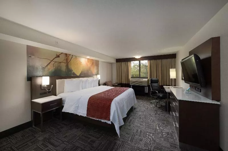 スタンダードルーム, Doubletree By Hilton Fort Worth South