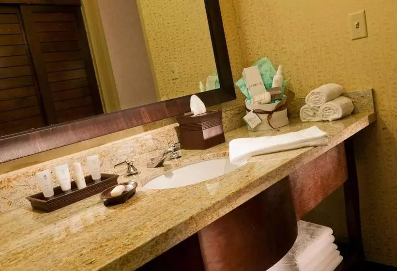スタンダードルーム, Glenwood Hot Springs Resort