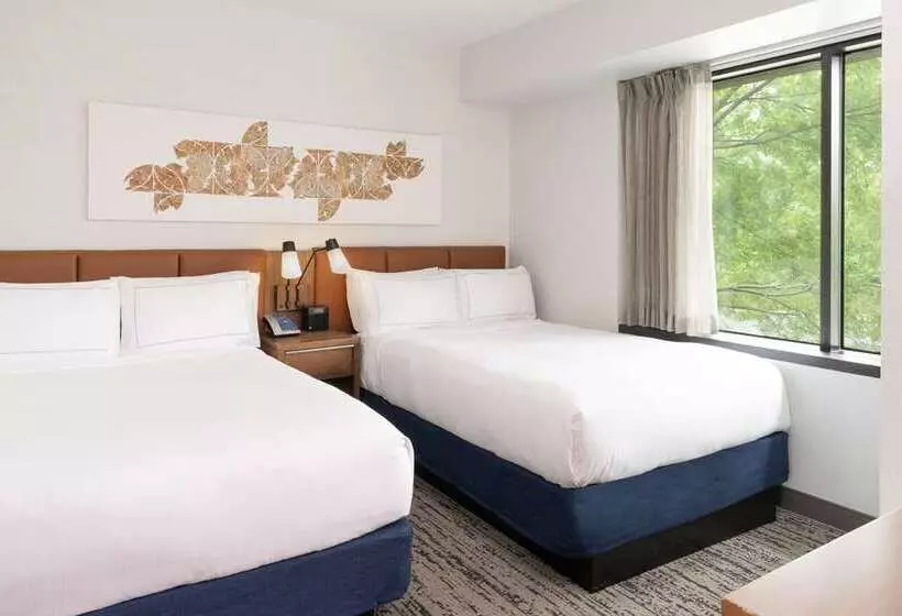 ２ダブルベッドのスタンダードルーム, Hilton Fairfax