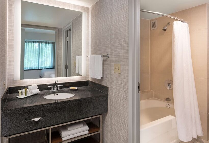 스탠다드 룸 더블 침대 2개, Hilton Fairfax