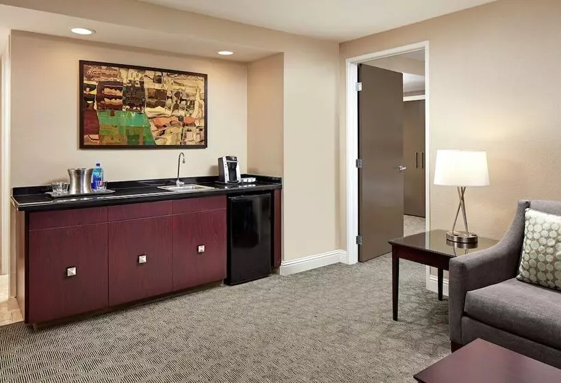 スイート, Hilton Houston Plaza/medical Center