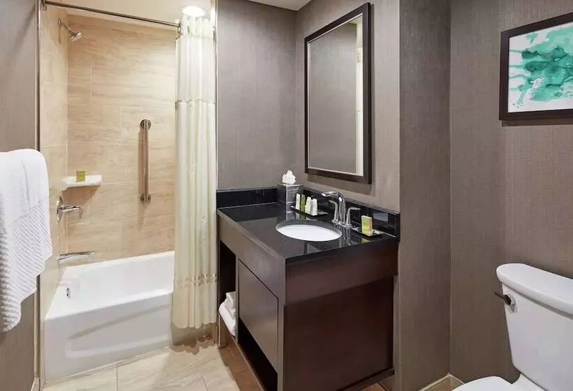 身障者適用スイートルーム, Hilton Houston Plaza/medical Center