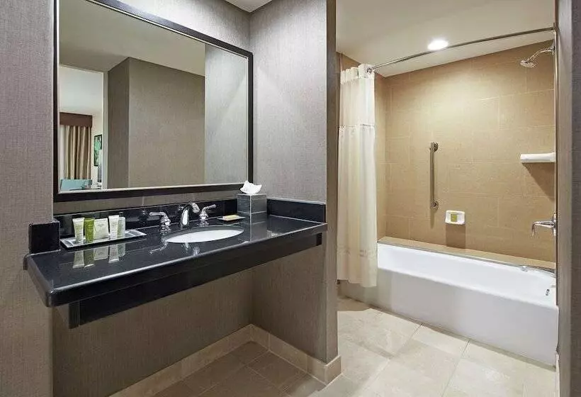 身障者適用スイートルーム, Hilton Houston Plaza/medical Center