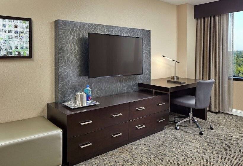 Chambre Standard Adaptée aux Personnes à Mobilité Réduite, Hilton Houston Plaza/medical Center