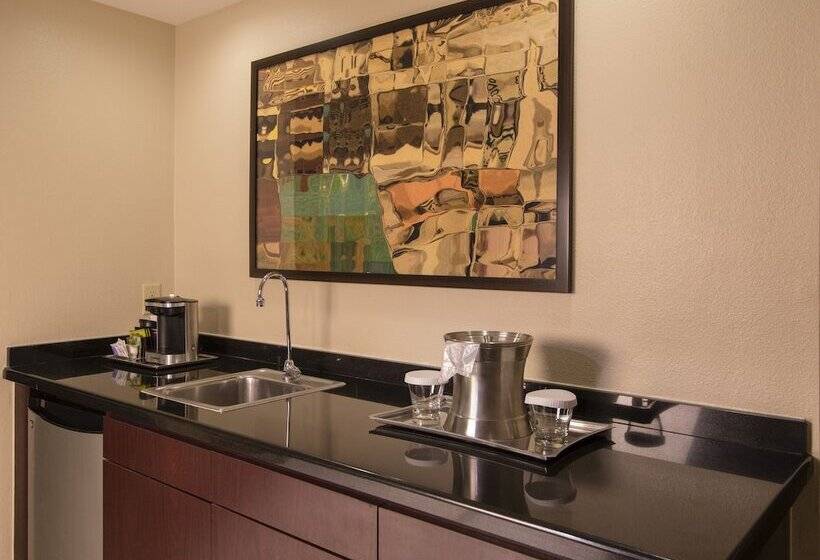 スイート, Hilton Houston Plaza/medical Center