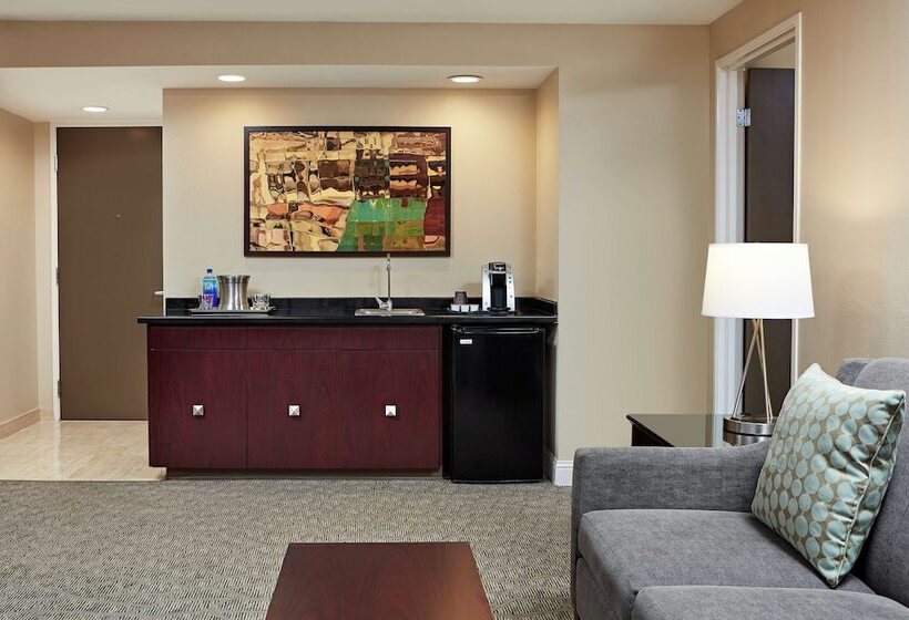 Suite Adaptée aux Personnes à Mobilité Réduite, Hilton Houston Plaza/medical Center