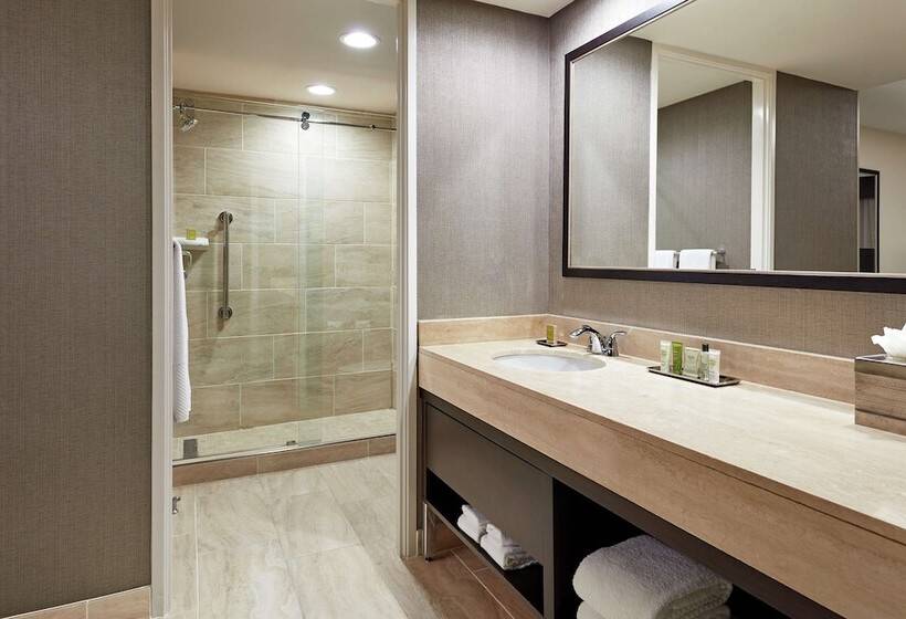 スイート, Hilton Houston Plaza/medical Center