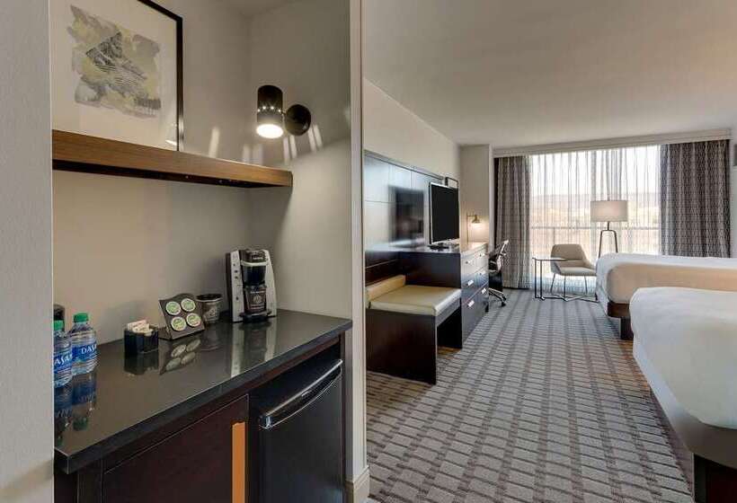 Chambre Standard Adaptée aux Personnes à Mobilité Réduite, Hilton Houston Plaza/medical Center