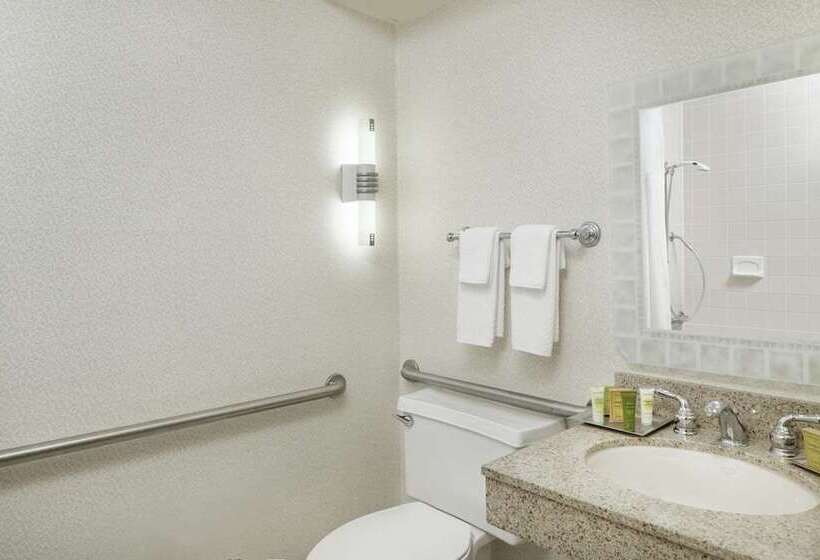 Chambre Standard, Hilton Houston Plaza/medical Center