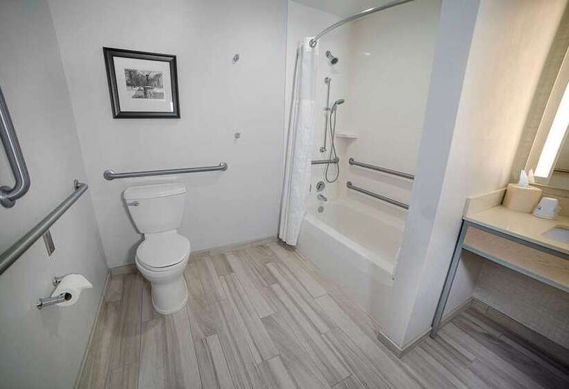 スタンダードルーム, Hilton Houston Plaza/medical Center