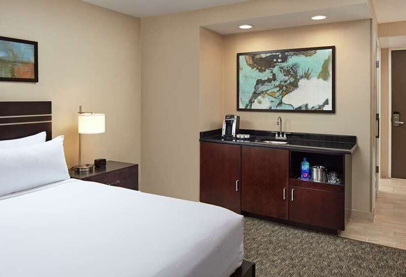 キングサイズベッドのスタンダードルーム, Hilton Houston Plaza/medical Center