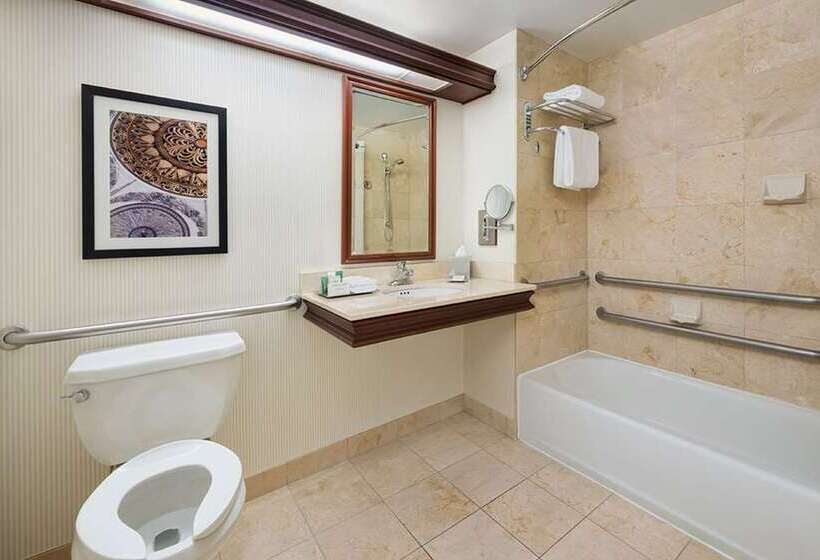 身障者適用スタンダードルーム, Hilton Houston Plaza/medical Center