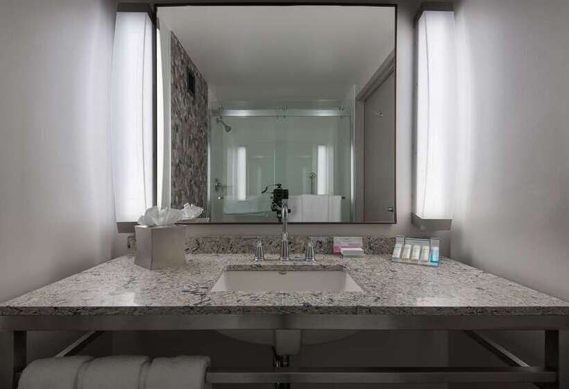 Chambre Standard, Hilton Houston Plaza/medical Center