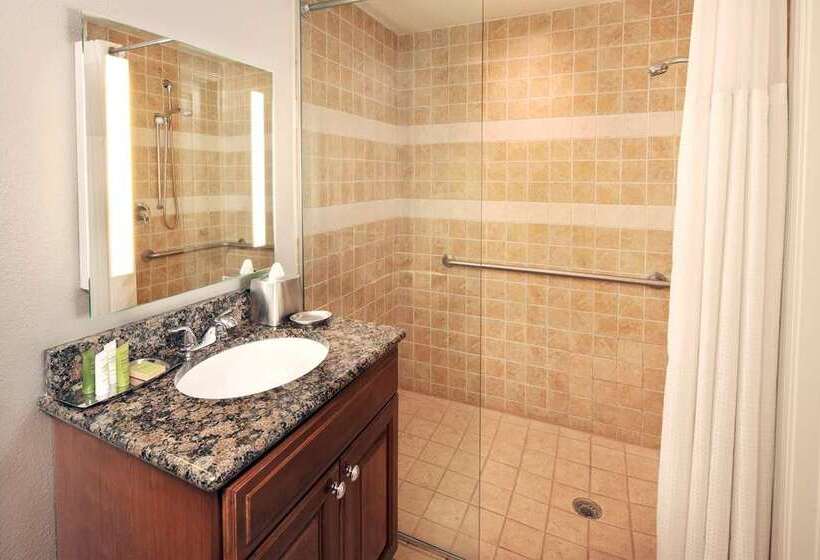 身障者適用キングサイズベッドルーム, Hilton Houston Plaza/medical Center