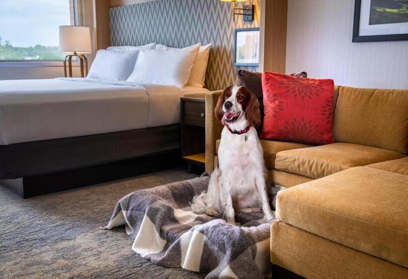 스탠다드 룸 킹사이즈 침대, Holiday Inn Charlottesville Monticello, An Ihg