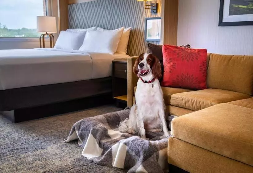 اتاق استاندارد با تخت بزرگ, Holiday Inn Charlottesville Monticello, An Ihg