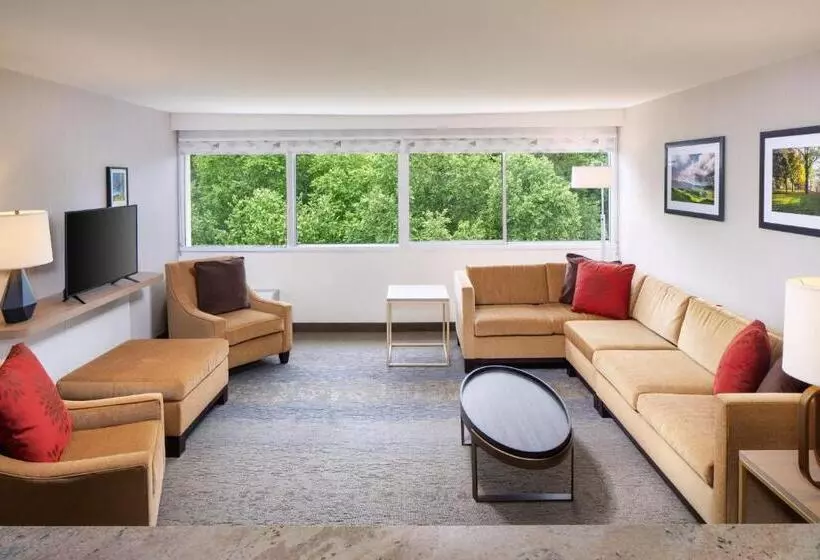 سوئیت با تخت بزرگ, Holiday Inn Charlottesville Monticello, An Ihg