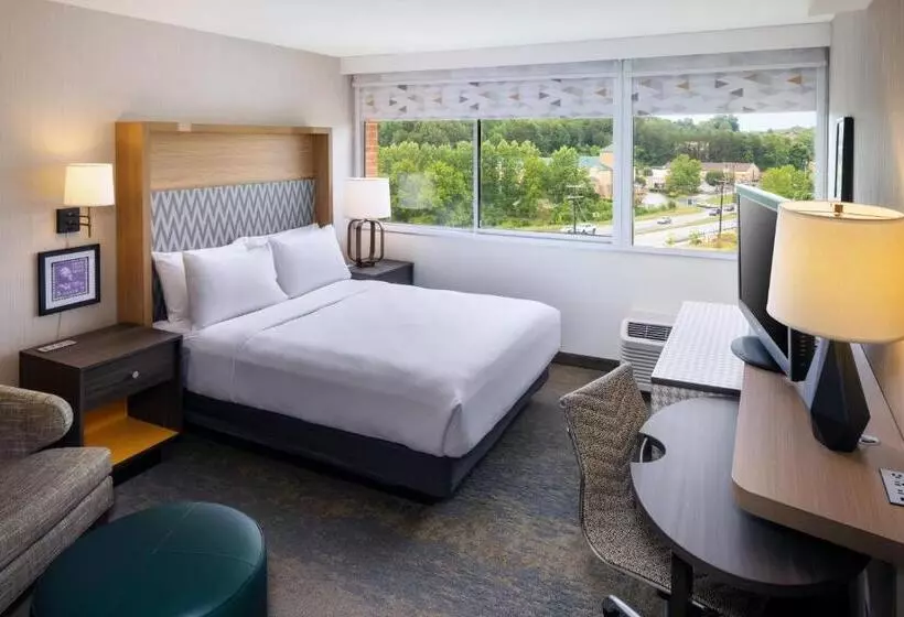 سوئیت با تخت بزرگ, Holiday Inn Charlottesville Monticello, An Ihg