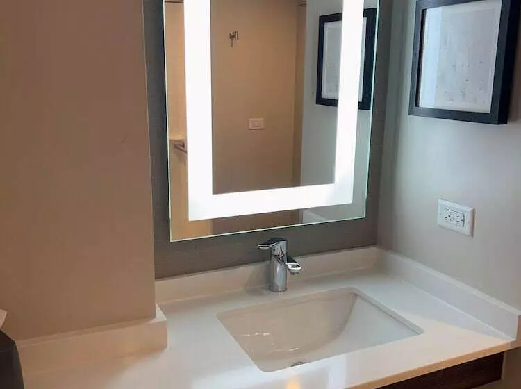اتاق استاندارد با 2 تخت دوبل, Holiday Inn Chicago – Midway Airport S By Ihg