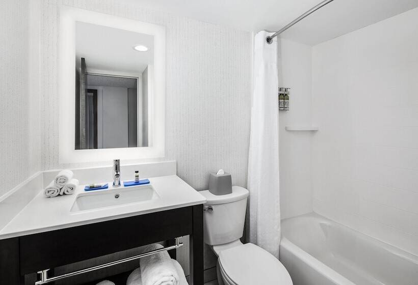 Номер Стандарт, Holiday Inn Express Richmond   Midtown, An Ihg