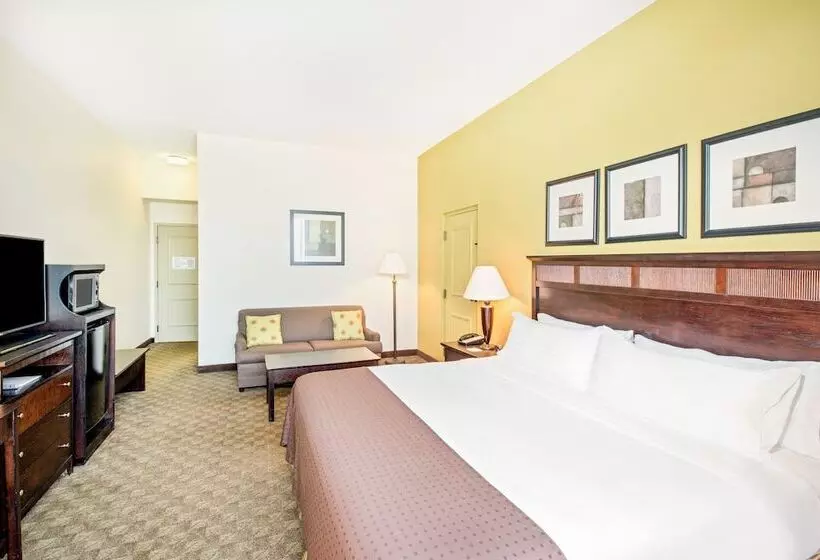 اتاق استاندارد, Holiday Inn Roanoke   Tanglewood Route 419 & I 581, An Ihg
