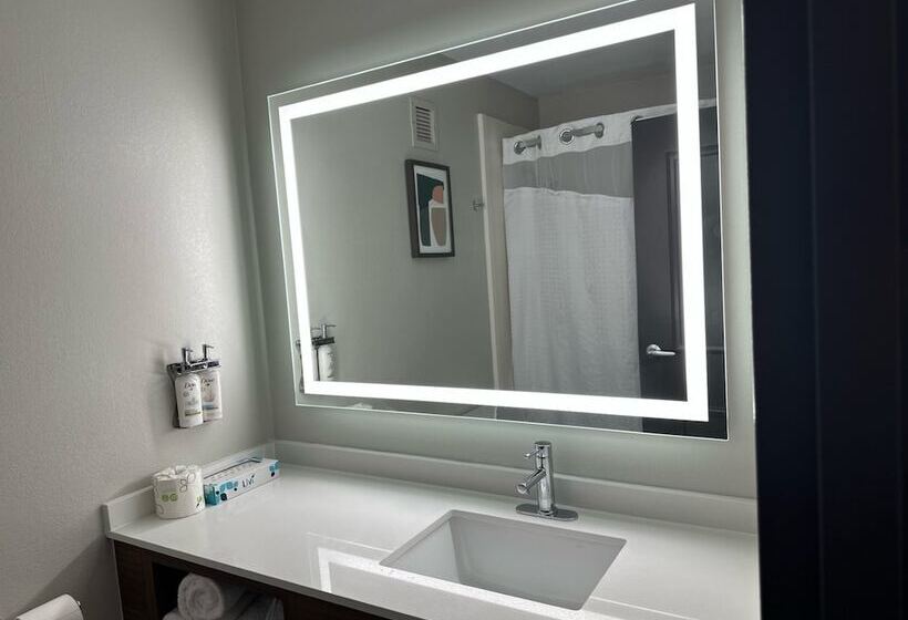 غرفه قياسيه سريرين مزدوجين, Holiday Inn Roanoke   Tanglewood Route 419 & I 581, An Ihg